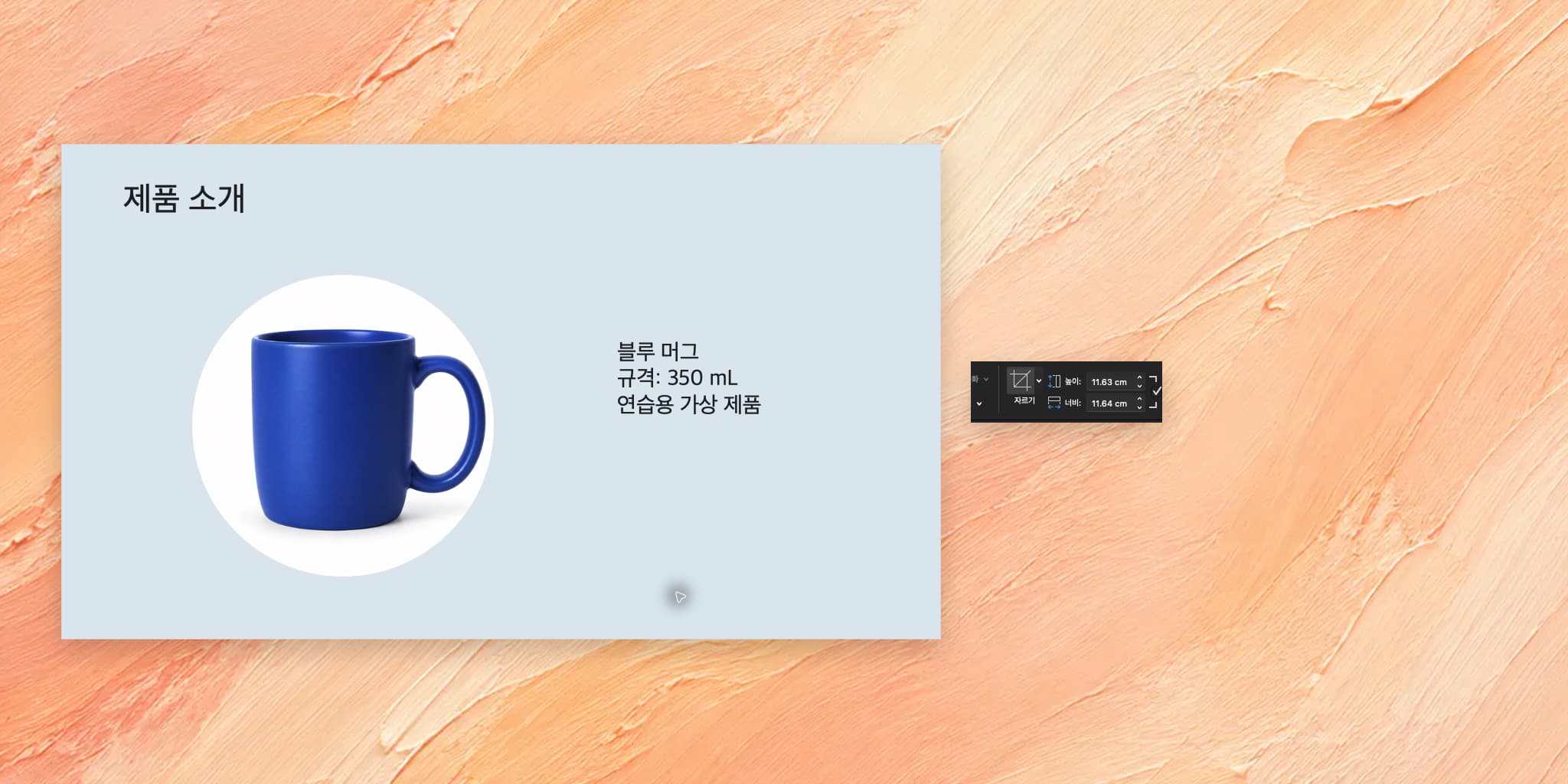 PPT 사진 동그랗게 자르기: 찌그러지지 않는 원형 사진 만들기