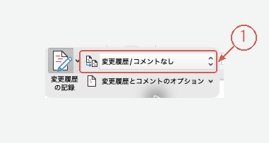変更履歴とコメントなしの表示設定